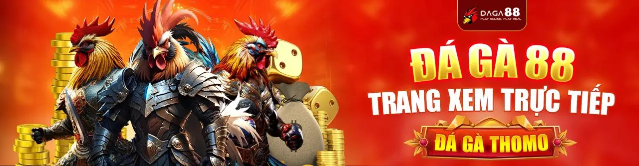 Đá Gà Trực Tuyến loto66 - Sân đấu hùng tráng