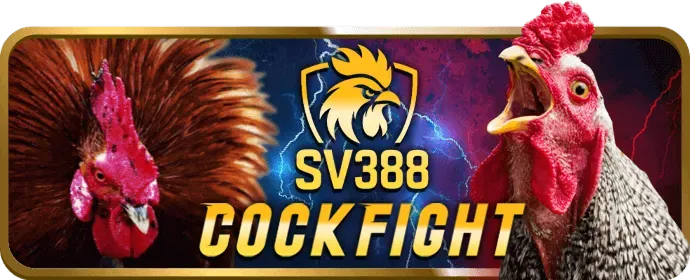 Tổng hợp các môn thể thao khác như eSports, golf, đua xe, cho thấy sự đa dạng tại loto66